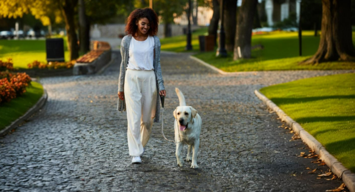 Canine Adventure: 5 Ideas for Unforgettable Outings With Your Dog